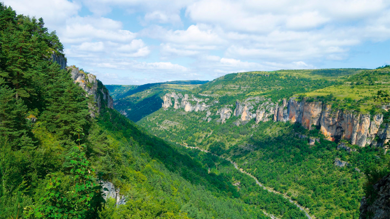 Die Cevennen, eines der schönsten Wandergebiete Frankreichs