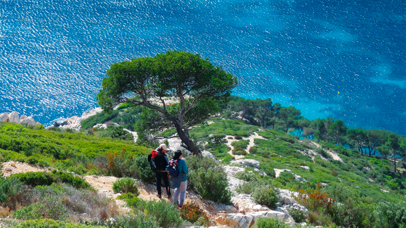 Das Wanderparadies rund um Marseille: Calanques und Côte Bleue